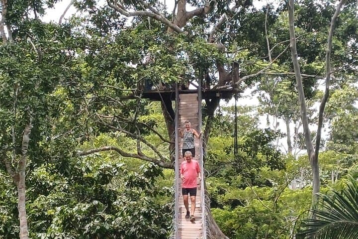 Collpa Chuncho & Lake Sandoval: 4-Day Tambopata Jungle Tour for Macaws, Otters & Matsigenka Culture photo 4