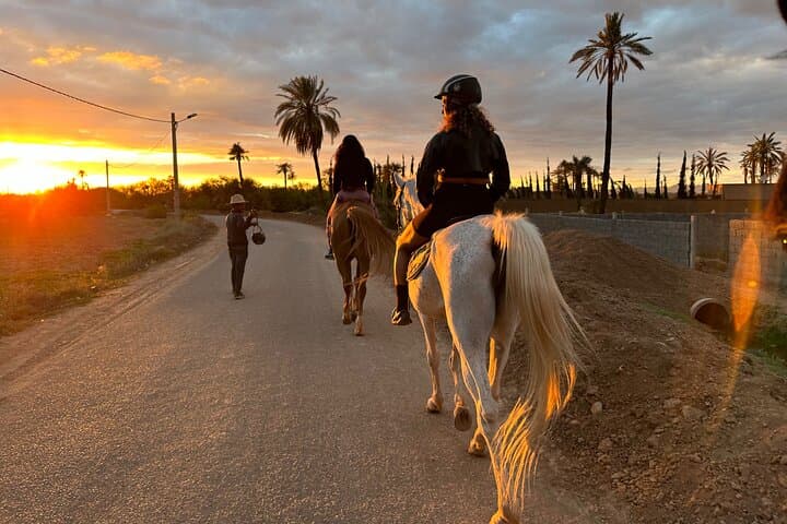 Private Horseback Ride through Marrakech's Palmeraie with Berber Tea photo 4