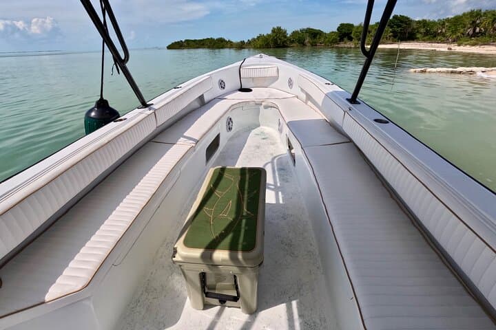 Private Boat Day Around San Pedro: Snorkel, Shark Ray Alley & Secret Beaches photo 4