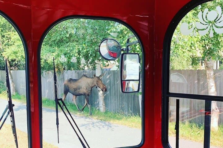 Explore Anchorage on the Anchorage Trolley’s Deluxe City Tour: History, Nature, and Views photo 3