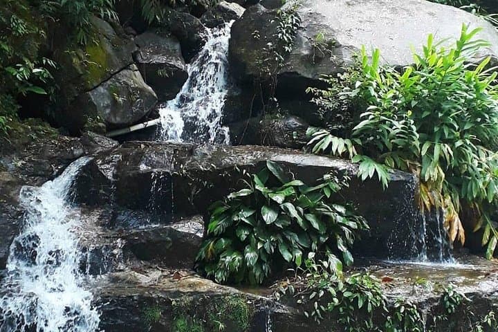 Tijuca Forest Caves & Waterfalls Private Tour — Rio de Janeiro Day Hike and Swim photo 6