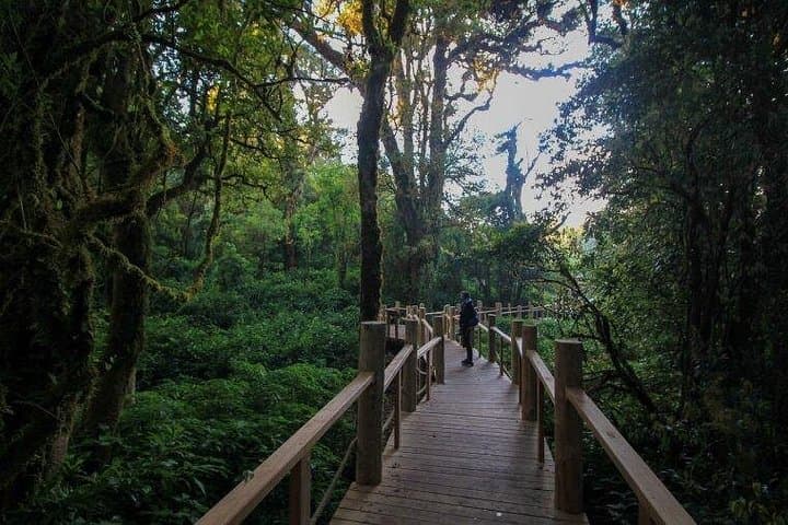 Hike Doi Inthanon & Kew Mae Pan: Thailand's Roof, Twin Pagodas & Waterfalls photo 4