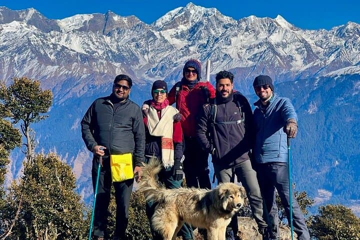 Dayara Bugyal & Surya Top Trek: High-Meadow Hikes Near Uttarkashi photo 2