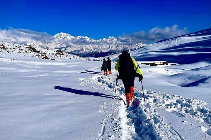 Dayara Bugyal & Surya Top Trek: High-Meadow Hikes Near Uttarkashi photo 3
