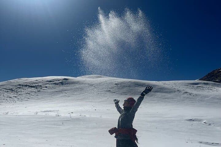 Dayara Bugyal & Surya Top Trek: High-Meadow Hikes Near Uttarkashi photo 5