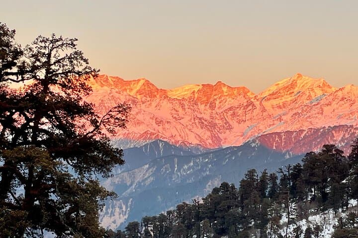 Dayara Bugyal & Surya Top Trek: High-Meadow Hikes Near Uttarkashi photo 6