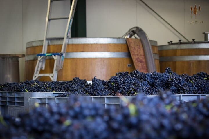 Private Full-Day Marlborough Wine Tour — Blenheim & Renwick Tasting Drive photo 4