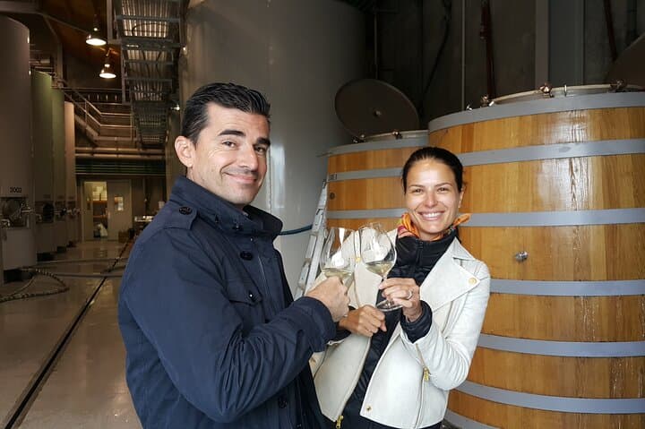 Private Full-Day Marlborough Wine Tour — Blenheim & Renwick Tasting Drive
