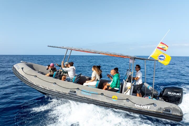 Tenerife Whale Watching from Costa Adeje - Small-Group 2-Hour Eco Adventure photo 3