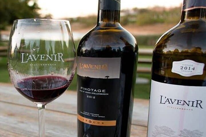 Franschhoek Tram Wine Tasting: Full-Day Cape Winelands Tour photo 2