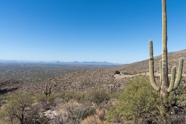 Self-Guided Audio Driving Tour of Mount Lemmon — Catalina Highway Scenic Byway Guide photo 4