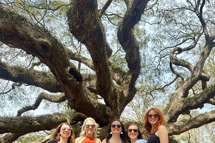 Charleston Tea Plantation and Deep Water Vineyard Day Tour photo 3