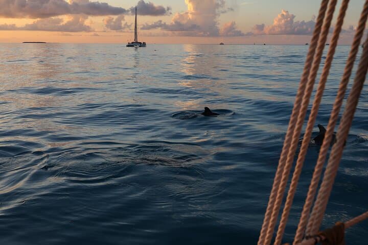 Classic Key West Schooner Sunset Sail with Full Open Bar — Two-Hour Sunset Cruise photo 2