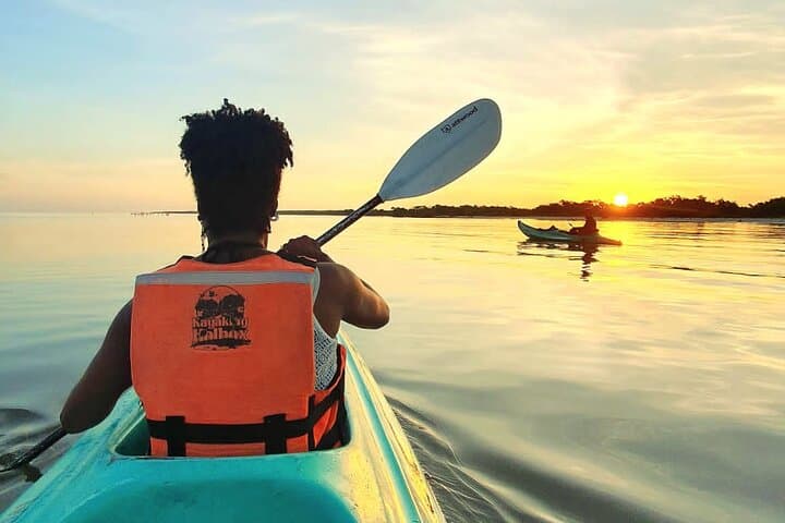 Sunrise Kayak Through Holbox Mangrove Labyrinth: Wildlife & Dawn Colors