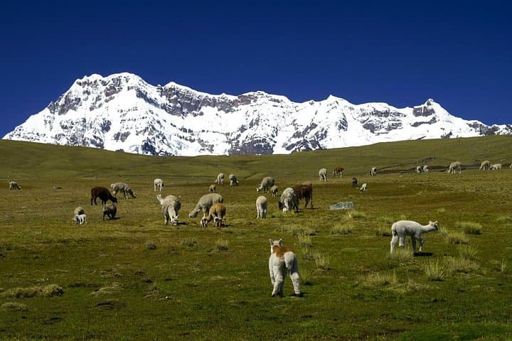 4-Day Ausangate Trek with Rainbow Mountain — Thermal Springs, Condor Pass & Red Valley photo 3