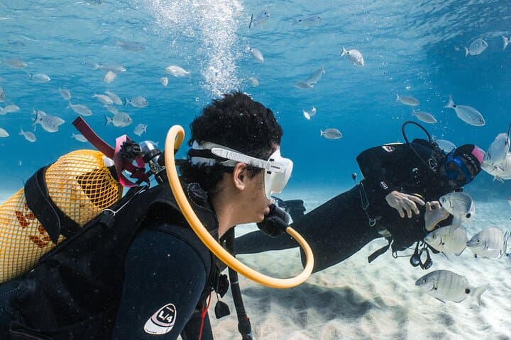 Try Scuba Diving in Lanzarote: Beginner 1-Dive to 6m photo 2