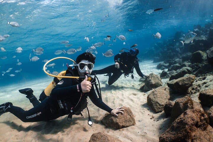 Try Scuba Diving in Lanzarote: Beginner 1-Dive to 6m photo 3