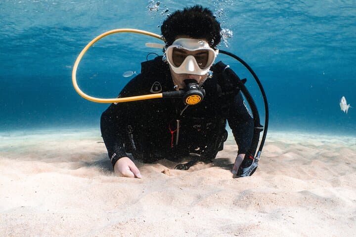 Try Scuba Diving in Lanzarote: Beginner 1-Dive to 6m photo 4