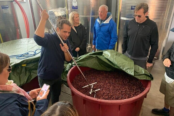 Taormina & Messina Private Wine Tour from Messina — Etna Vineyard, Corso Umberto & City Sights photo 3