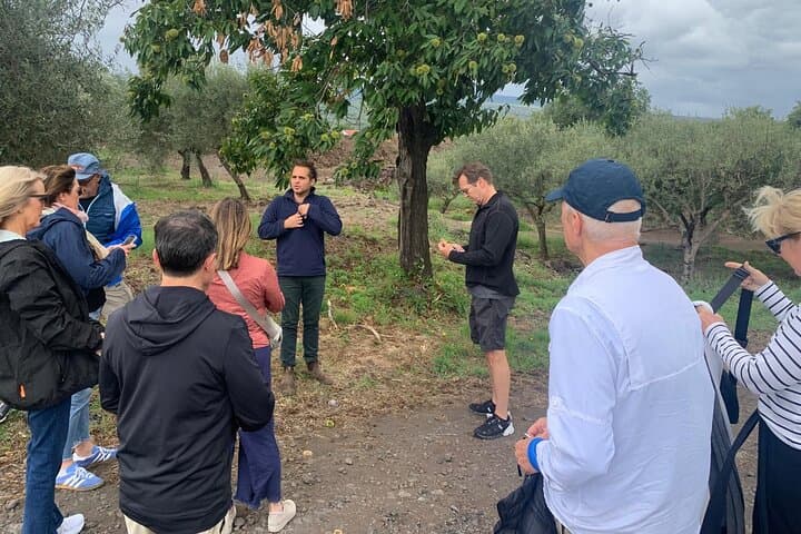 Taormina & Messina Private Wine Tour from Messina — Etna Vineyard, Corso Umberto & City Sights photo 4