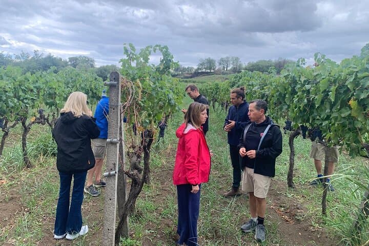 Taormina & Messina Private Wine Tour from Messina — Etna Vineyard, Corso Umberto & City Sights photo 5