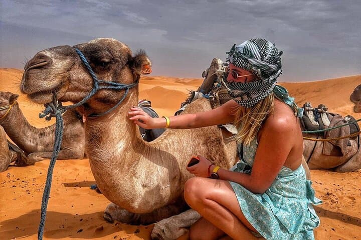 Day trip from Djerba to Ksar Ghilane Oasis and Tataouine Desert photo 2