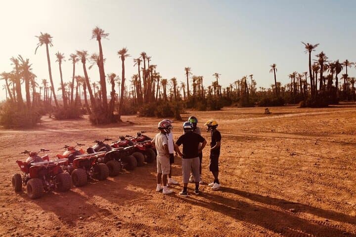Marrakech Palmeraie Quad and Camel Adventure with Mint Tea photo 3