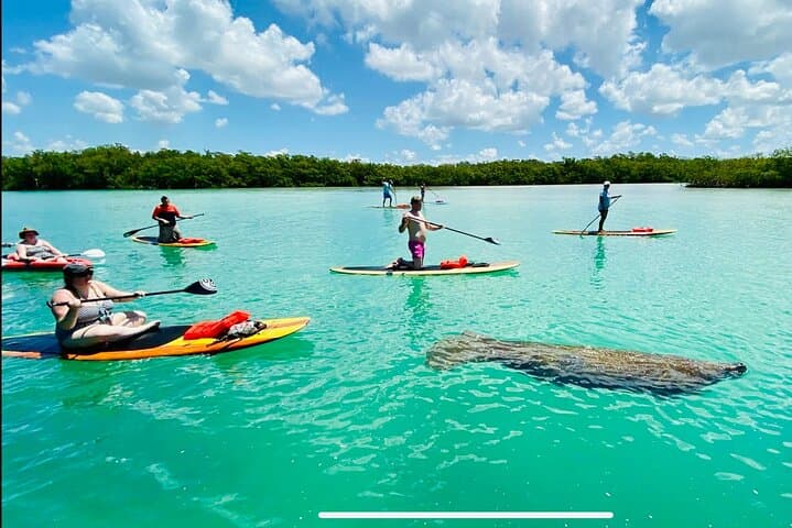 SUP in Lehigh Acres, Florida