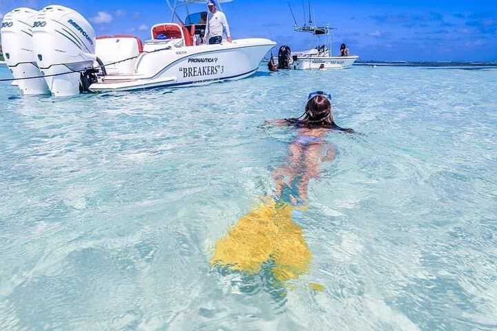Private Punta Cana Speedboat and Snorkeling Experience with Transportation photo 4