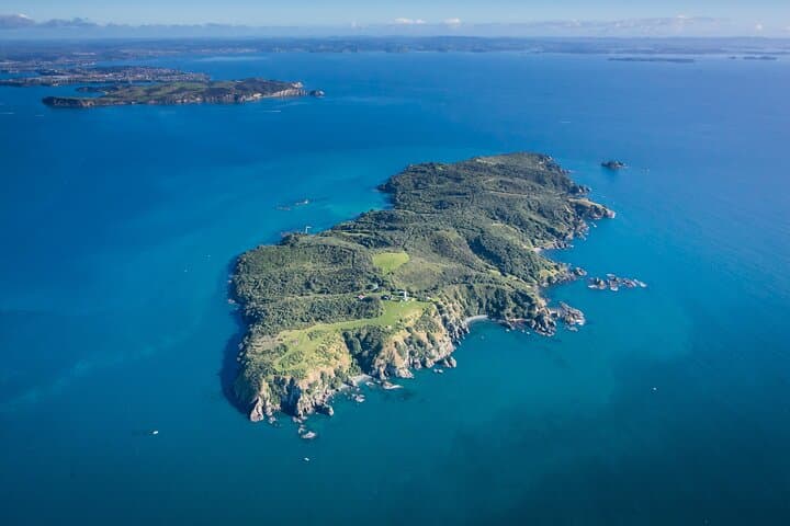 Tiritiri Matangi Island Discovery: Guided Ferry Trip From Auckland photo 2