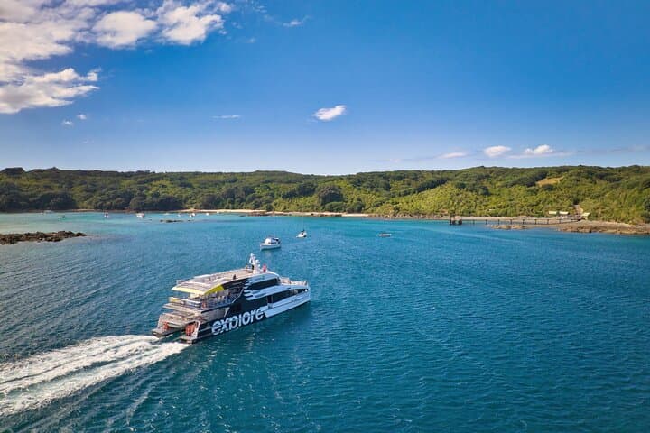 Tiritiri Matangi Island Discovery: Guided Ferry Trip From Auckland