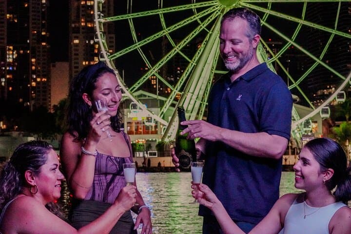 Champagne City Lights: Miami Night Boat Tour on Biscayne Bay