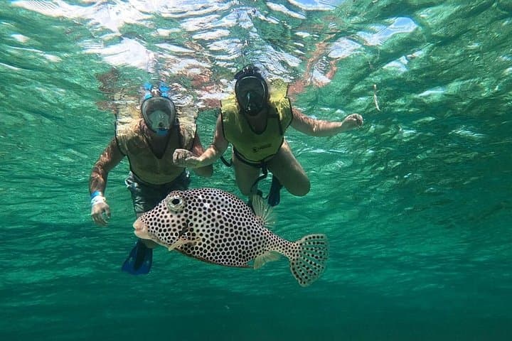 Cozumel Private Jeep and ATV to Jade Cavern Cenote — All‑Inclusive Half‑Day Adventure photo 5