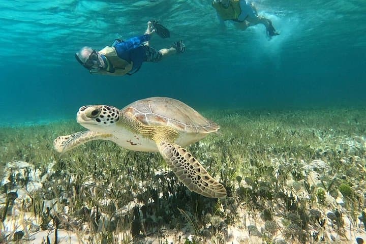 Cozumel Private Jeep and ATV to Jade Cavern Cenote — All‑Inclusive Half‑Day Adventure photo 3