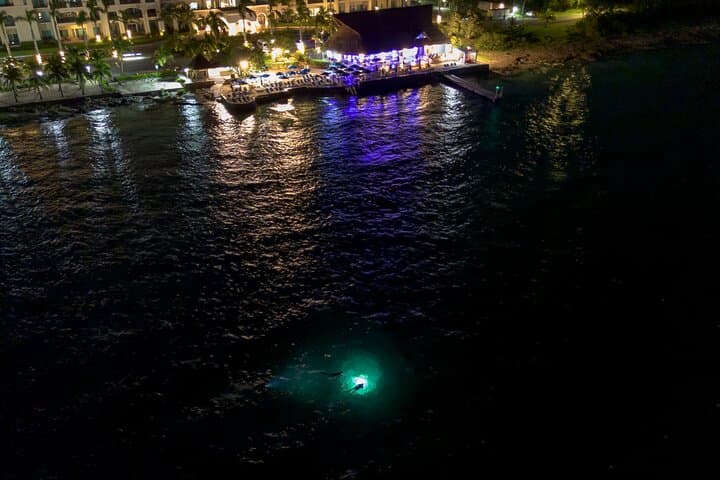 Twilight Snorkel and Candlelit Dinner at Money Bar, Cozumel
