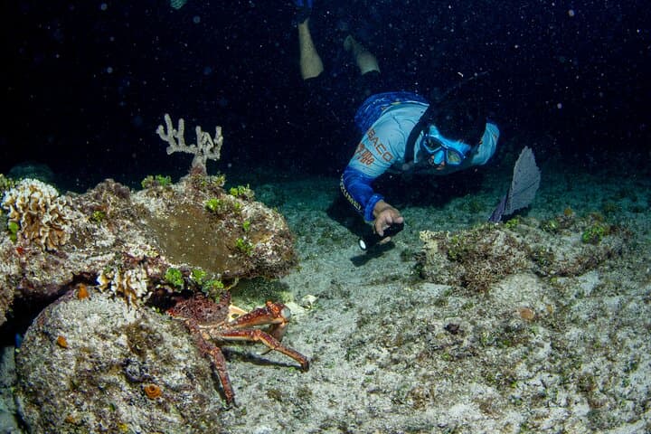Twilight Snorkel and Candlelit Dinner at Money Bar, Cozumel photo 6
