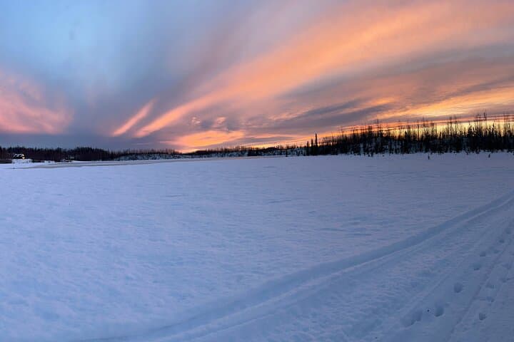 Dog Sledding with Alaskan Huskies — Iditarod Training Trails near Denali photo 3