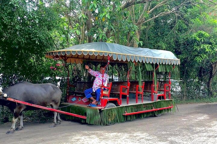 Dining by the Falls: A Day at Villa Escudero Coconut Plantation