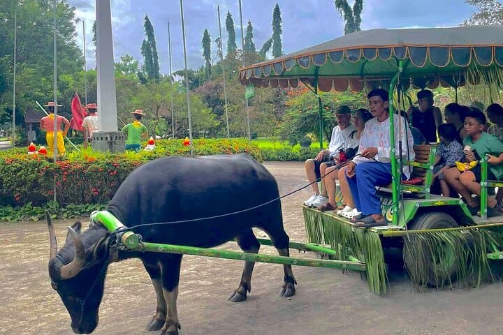 Dining by the Falls: A Day at Villa Escudero Coconut Plantation photo 2