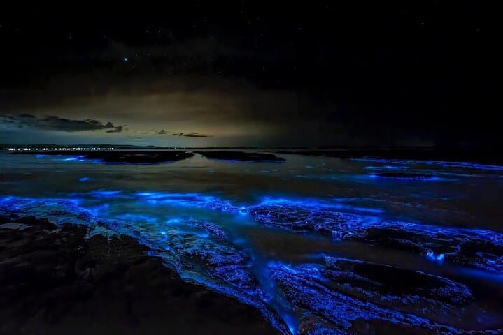 Grand Cayman Bioluminescent Bay Tour — Starfish Point & Cayman Kai Night Paddle photo 2