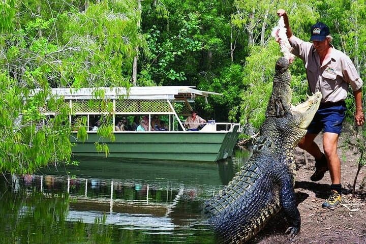 Hartley's Crocodile Park to Kuranda: Skyrail, Scenic Train & Port Douglas Sunset