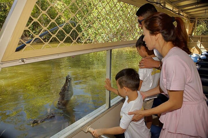 Hartley's Crocodile Park to Kuranda: Skyrail, Scenic Train & Port Douglas Sunset photo 3