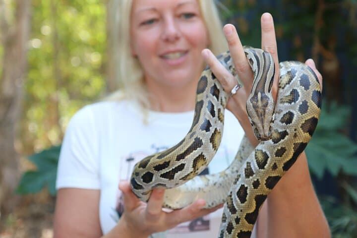 Hartley's Crocodile Park to Kuranda: Skyrail, Scenic Train & Port Douglas Sunset photo 4