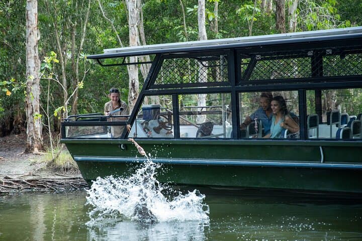 Hartley's Crocodile Park to Kuranda: Skyrail, Scenic Train & Port Douglas Sunset photo 5