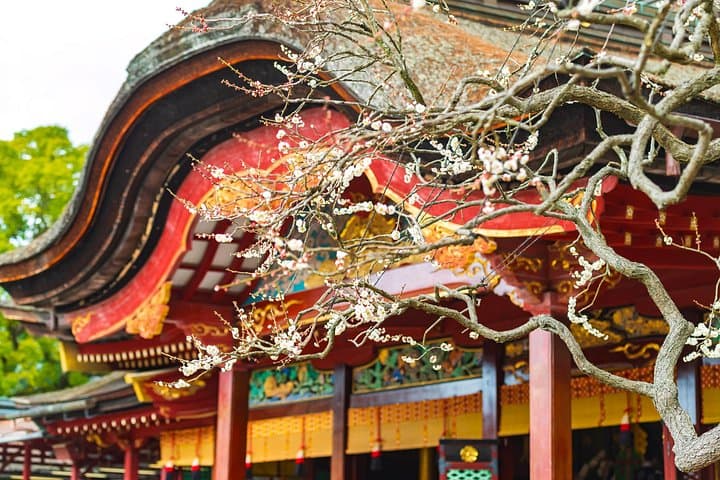 Dazaifu to Beppu & Yufuin: Private One-Day Cultural Onsen Tour photo 5
