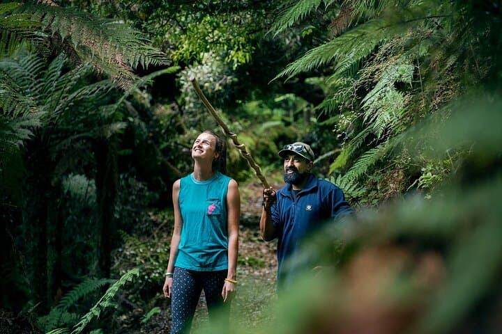 Whirinaki Forest Footsteps: Māori Guided Rainforest Walk, Picnic & Transfer from Rotorua photo 2