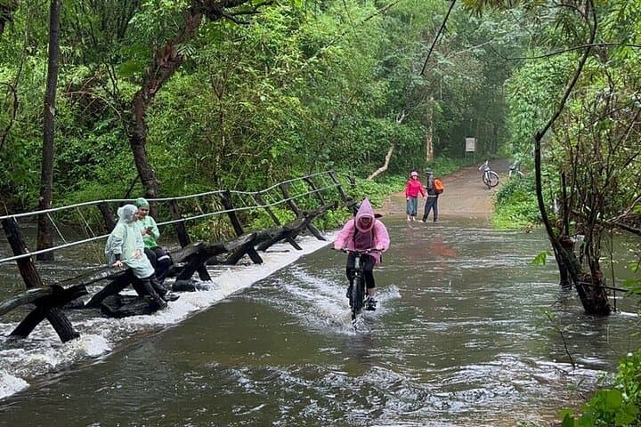 Cat Tien National Park 2-Day Eco Tour: Biking, Trekking & Night Safari from Ho Chi Minh City