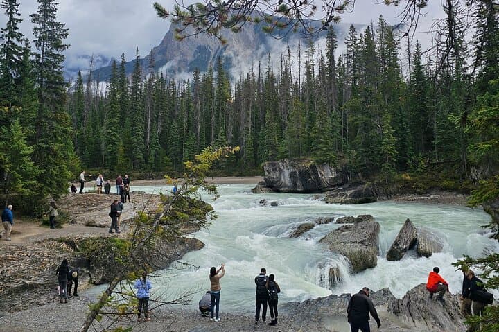 Private Full-Day Banff and Yoho National Parks Sightseeing Tour photo 4