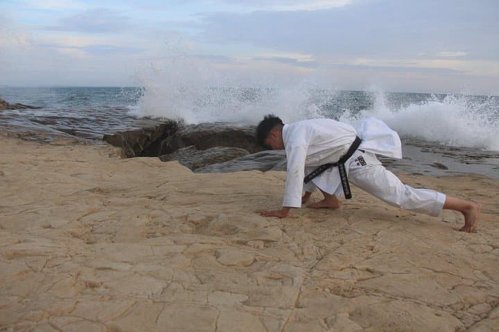 Tokyo Karate Experience: Family-Friendly Dojo Lesson and Mishuku Shrine Visit photo 5