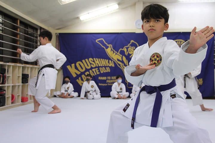 Tokyo Karate Experience: Family-Friendly Dojo Lesson and Mishuku Shrine Visit